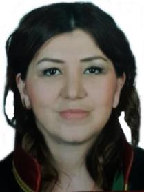 Av. Sibel TORUN